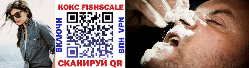 закладки  Болгар  COCAIN FishScale 