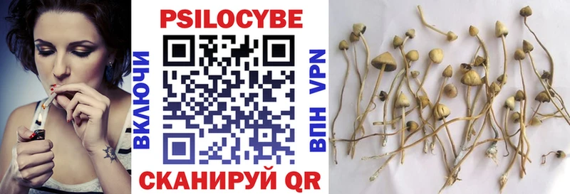 Псилоцибиновые грибы мухоморы  закладки  Болгар 