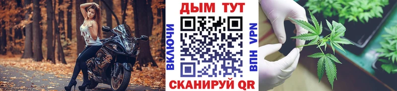 Марихуана конопля  Болгар 